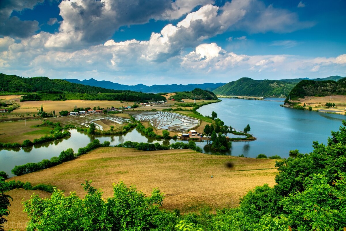 一日一诗《凉州词》赏析