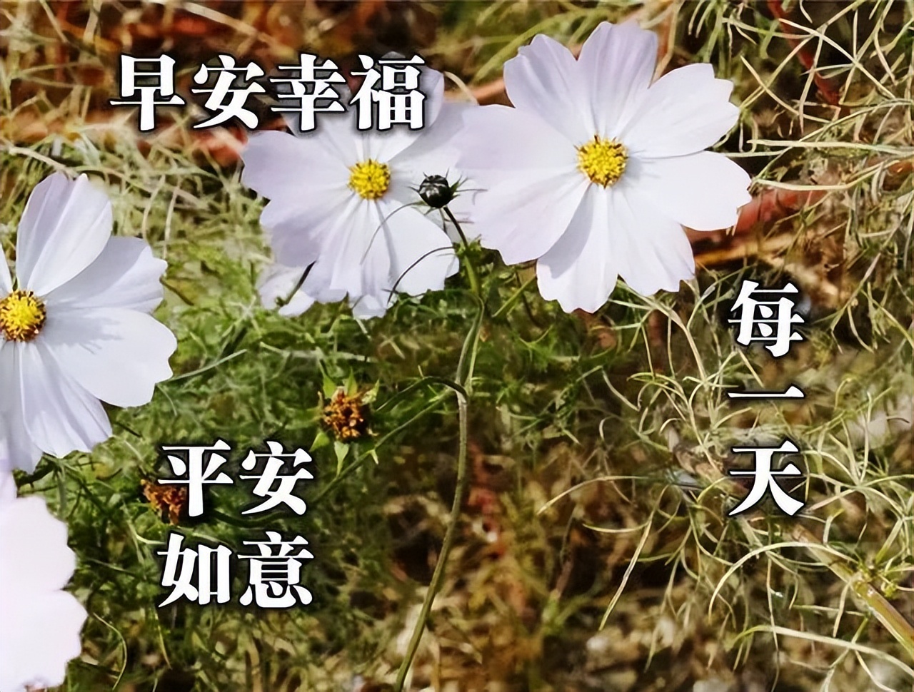 周六早上好表情包大全，祝愿大家平安健康，幸福快乐，一切都好图片