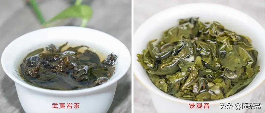 都是乌龙茶，大红袍与铁观音的茶韵有何不同？