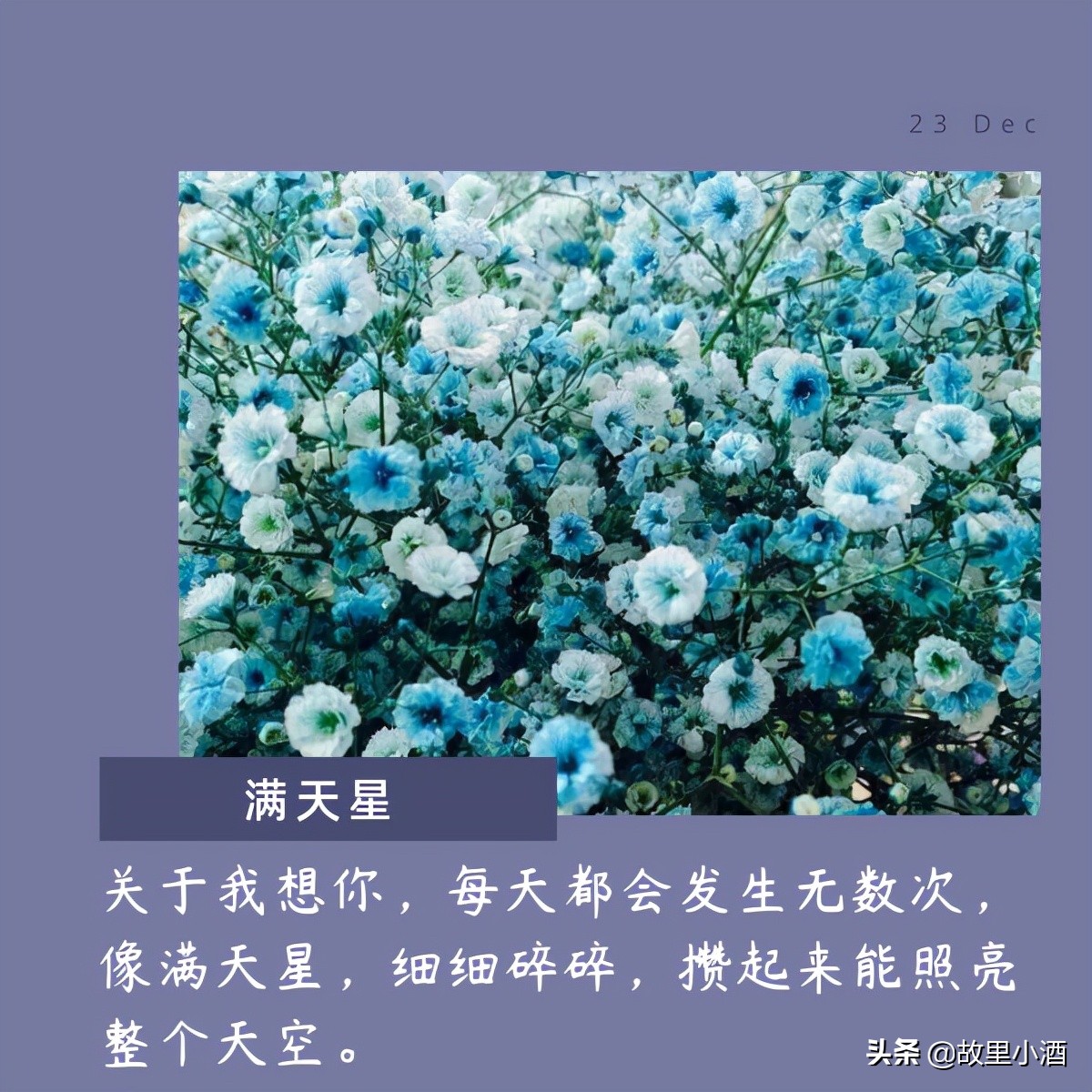 有关花的唯美句子：秋日薄暮，用菊花煮竹叶青，人和海棠俱醉