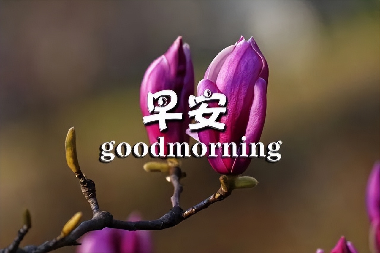 微信群发早上好的祝福语录句子 等到病疫散，咱们再相聚，战疫必胜图片