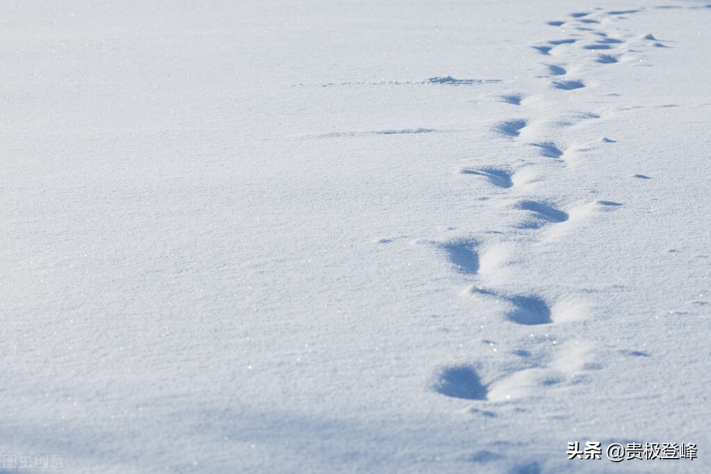 地白风色寒，雪花大如手