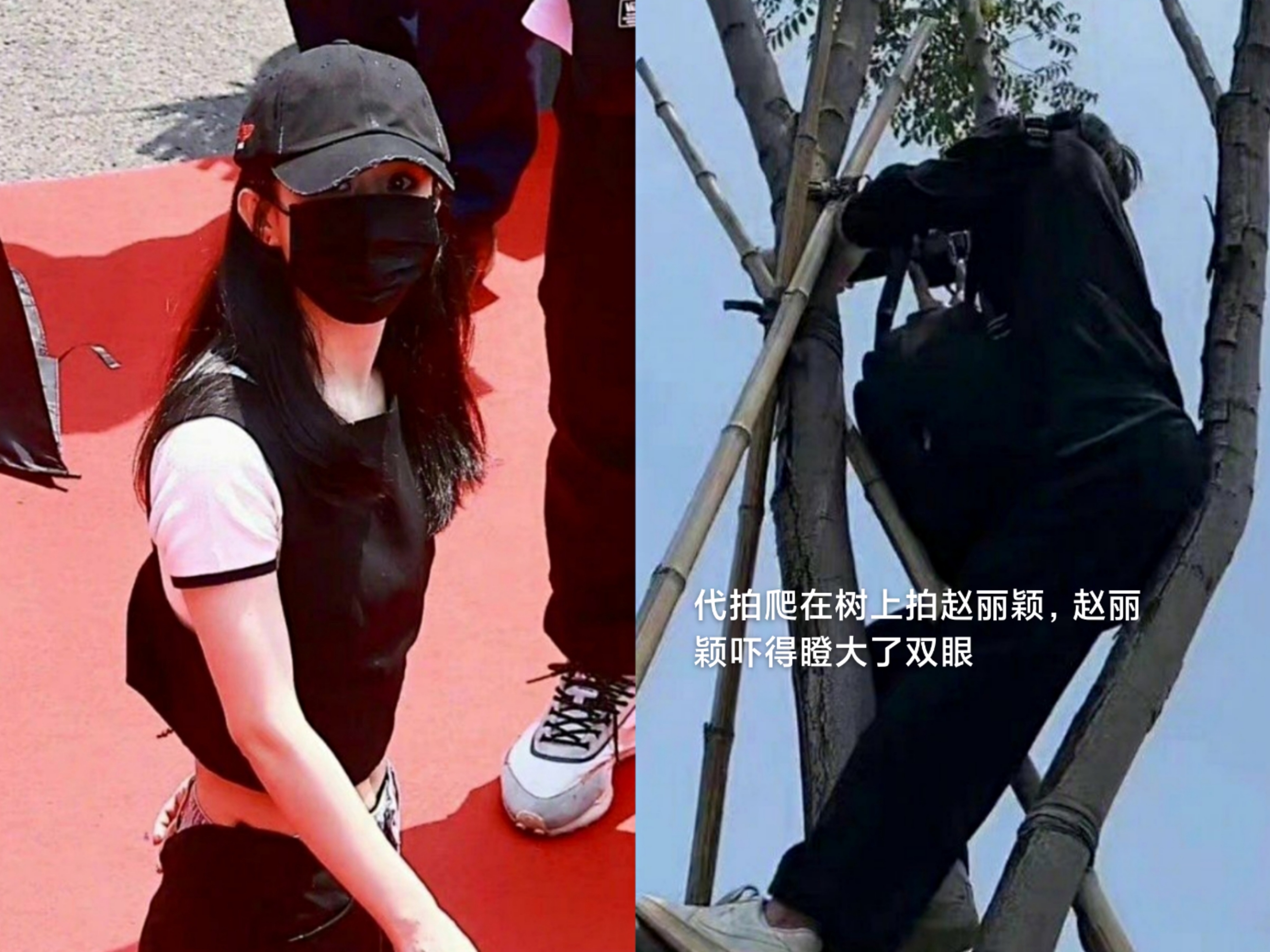 跟踪狂、翻垃圾、闻口罩、跟人形立板结婚…病态式追星该治治了