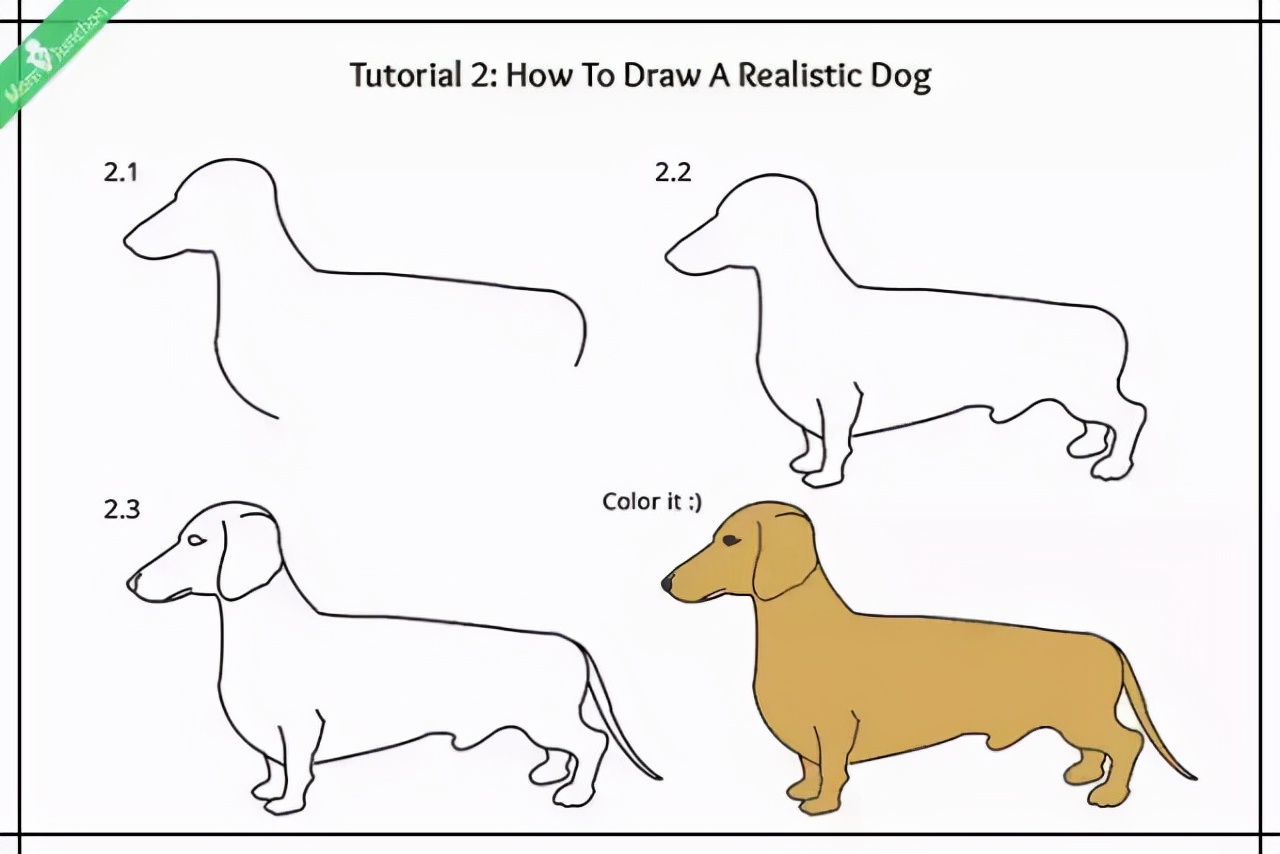 九种小狗的简笔画法详细教程