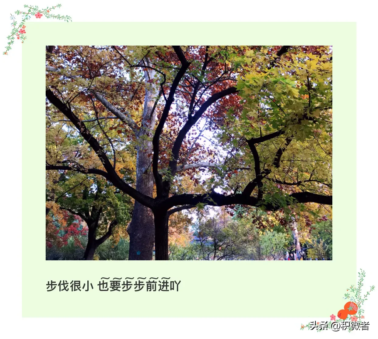 又到了每日小总结时刻红包来啦万柿如意