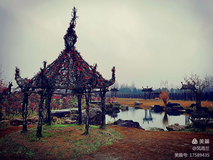 烟雨蒙蒙问花村 作者：武术兰