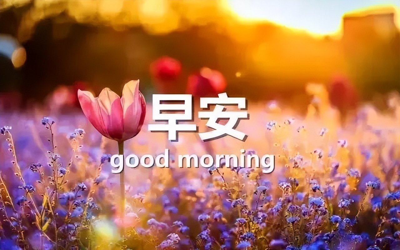 祝福早上好问候语 早上好图片带字 岁月虽然在转换 你我情意不能变图片