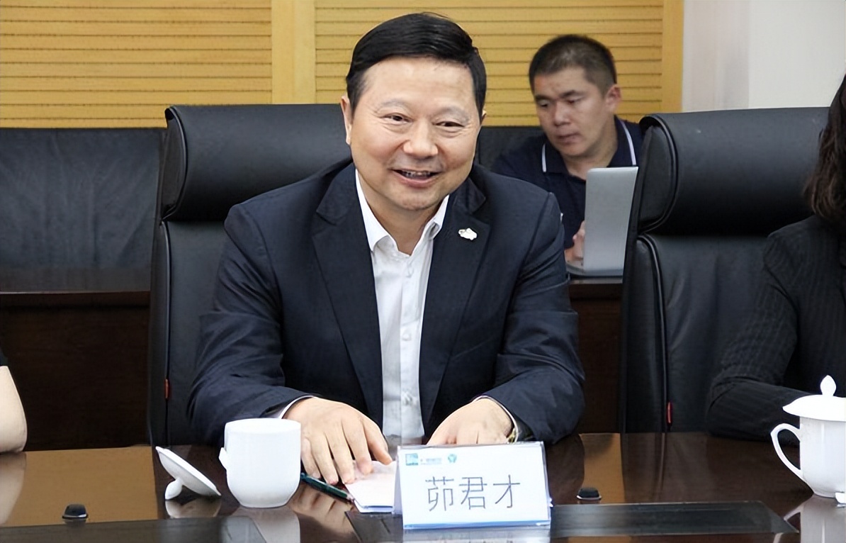 前绿地集团执行总裁被查