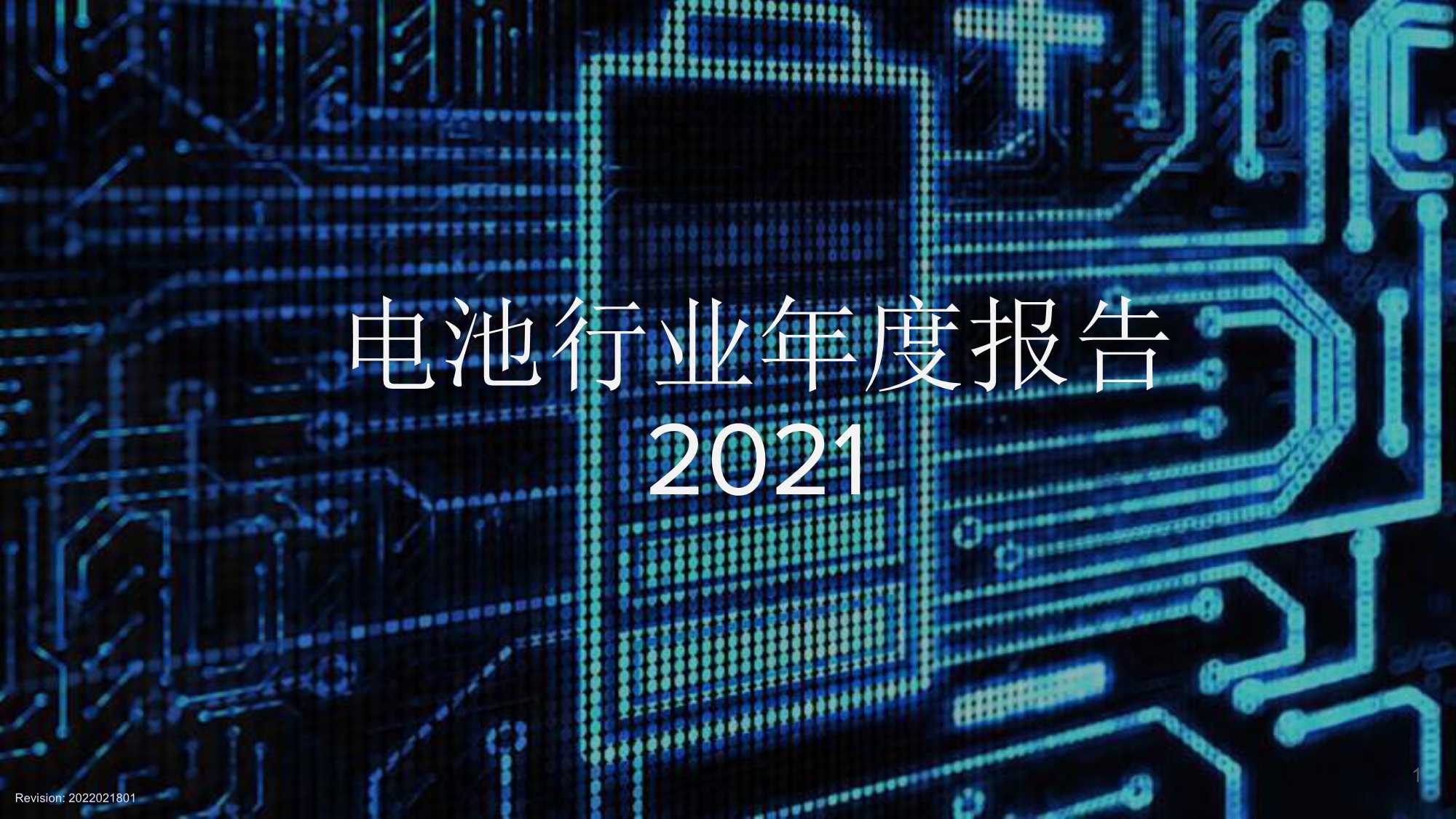 2021电池行业年度报告（134页）