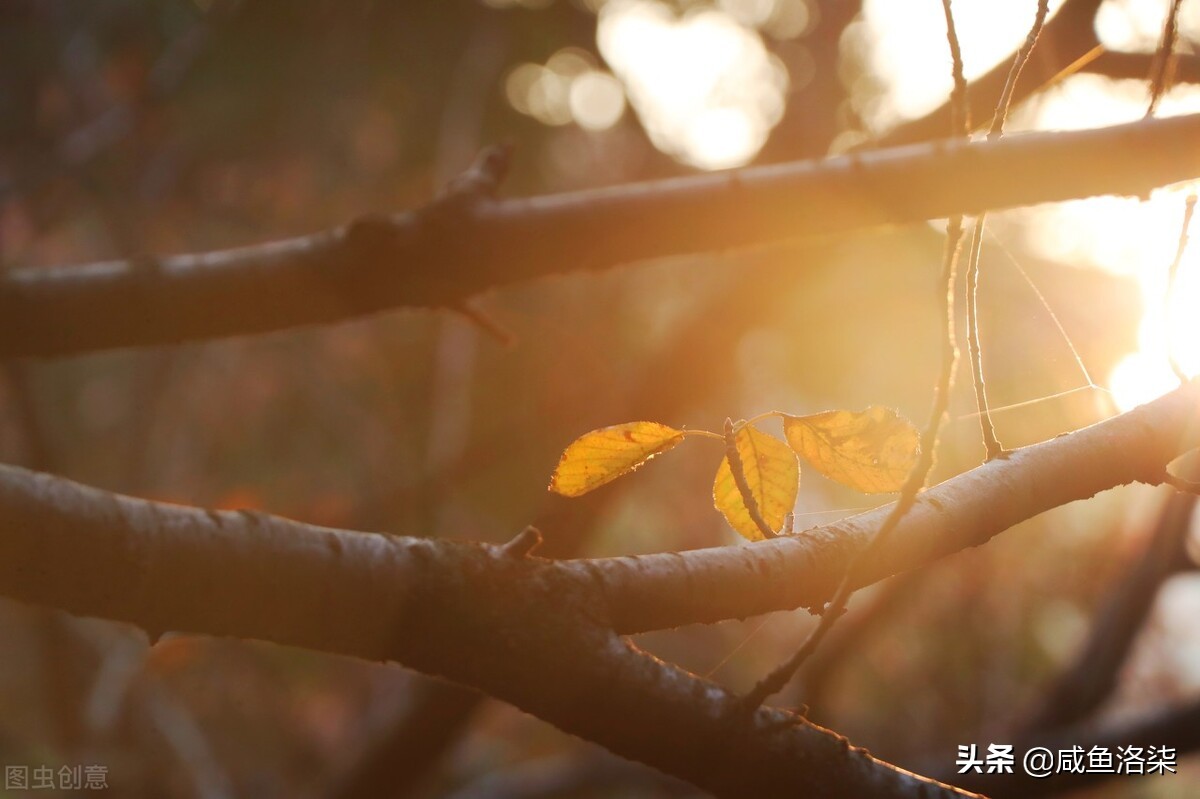家人闲坐，灯火可亲：生活是诗意和美好的，我们热烈地活着