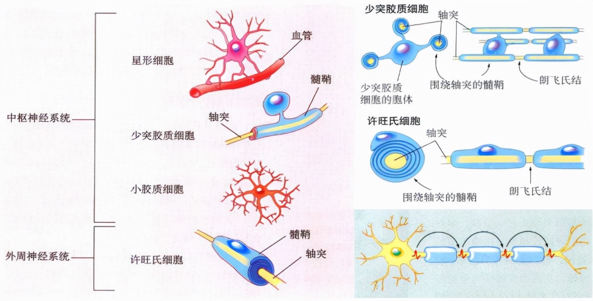 深度长文：意识的本质到底是什么？意识和自我意识是如何产生的？