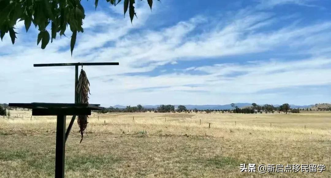 澳洲494移民签为你敞开雇主担保的大门,申请细则流出