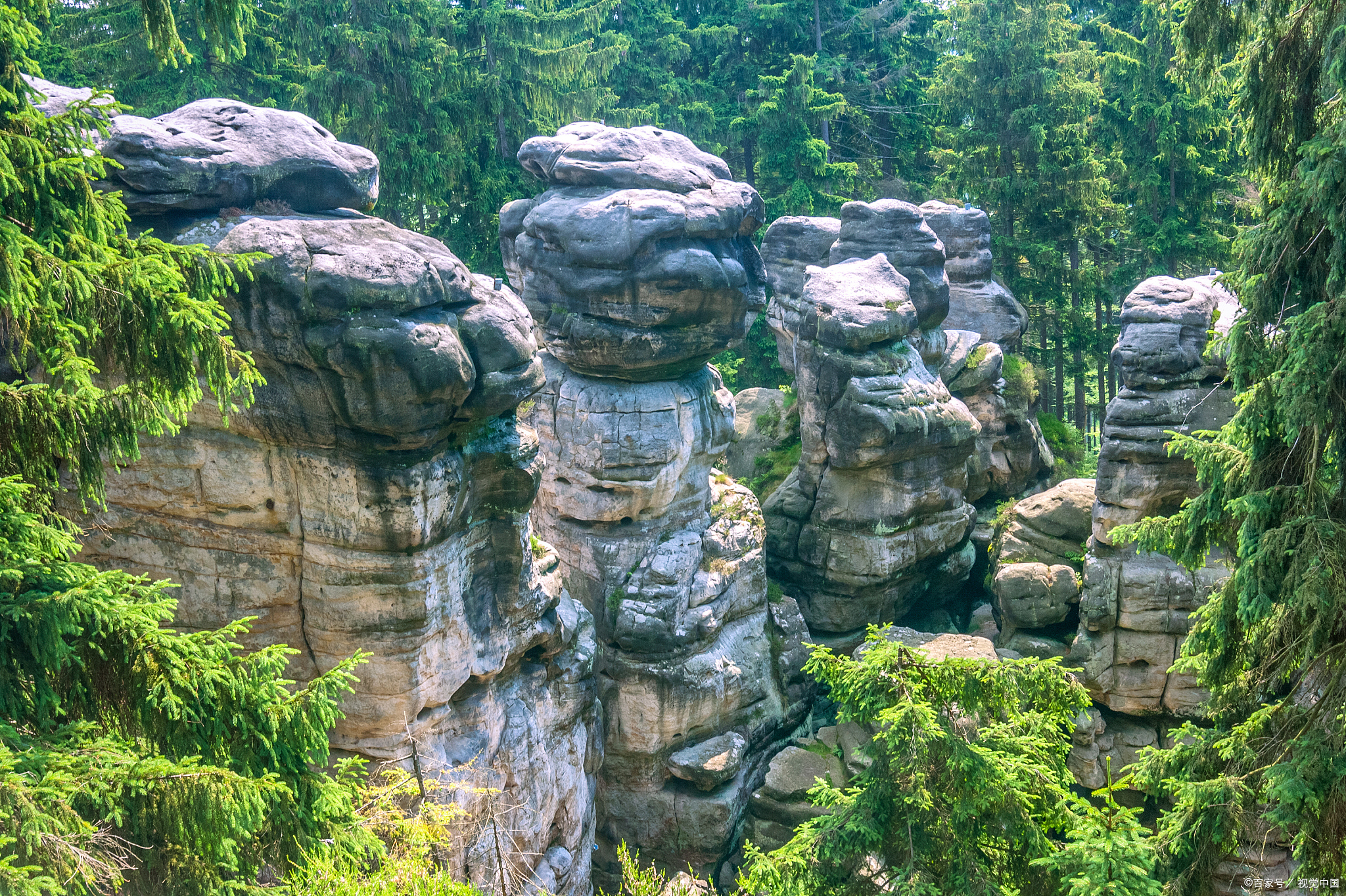 宜宾石林风景区图片