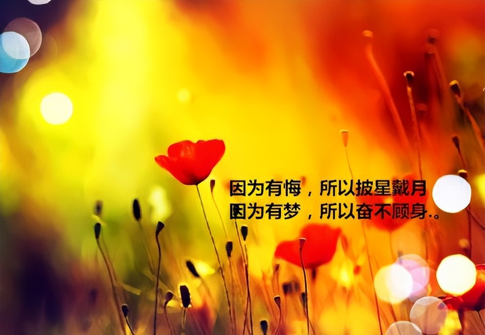 周二早上好朋友，祝你工作顺利，天天开心，事事顺心，身体健康图片