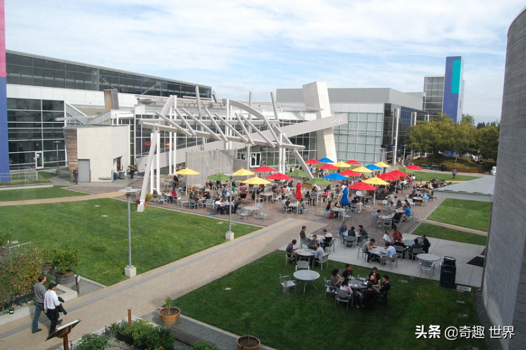 全球 10 大最酷办公室