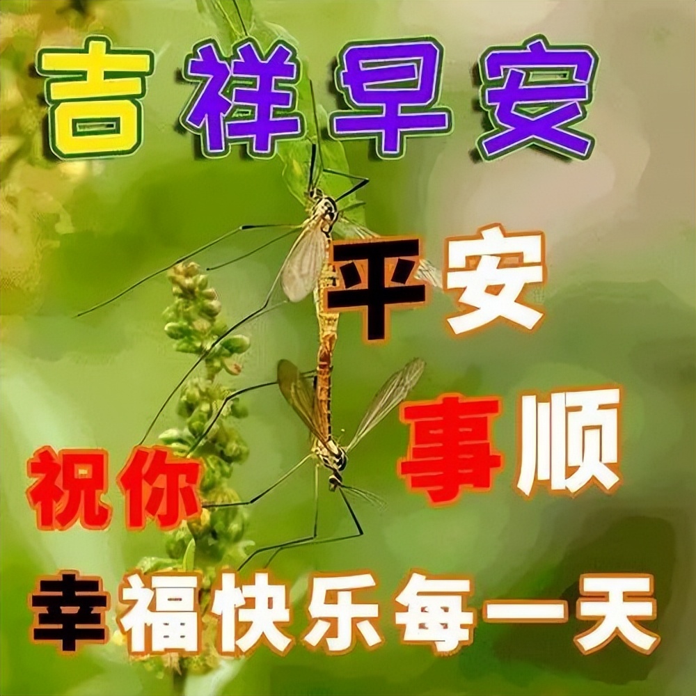 周二早上 早晨好暖心祝福语图片 成长是一种经历，成熟是一种阅历图片