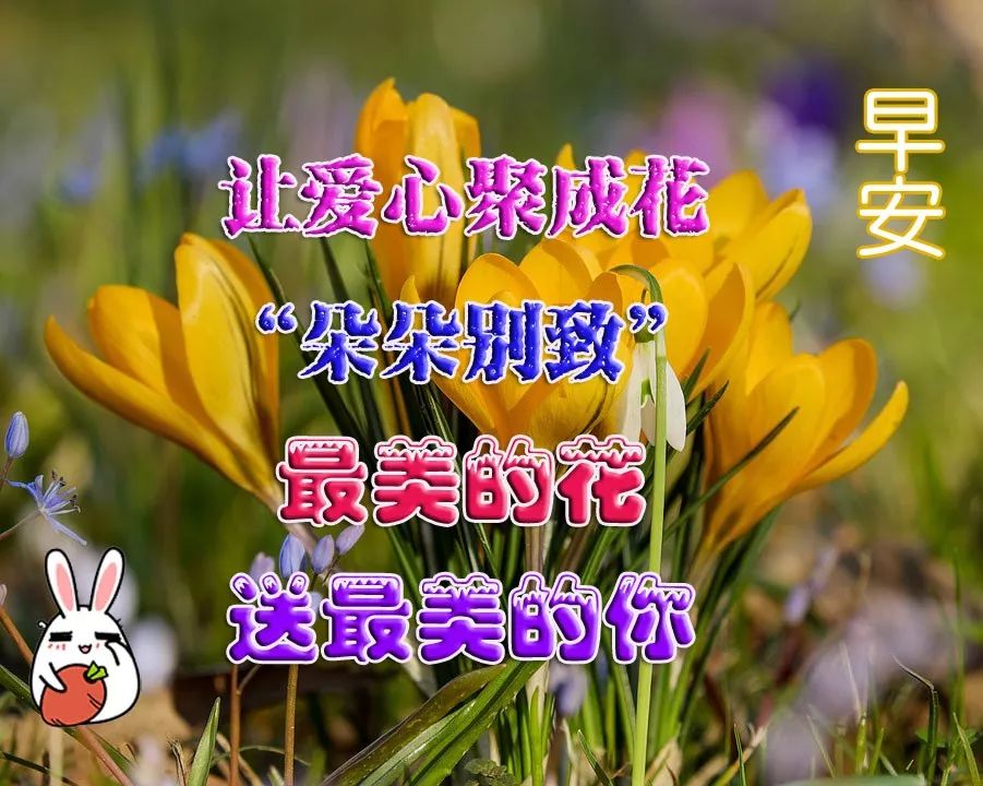 早上好表情包，一声问候，一句牵挂，财神家中去，梦想变成真图片