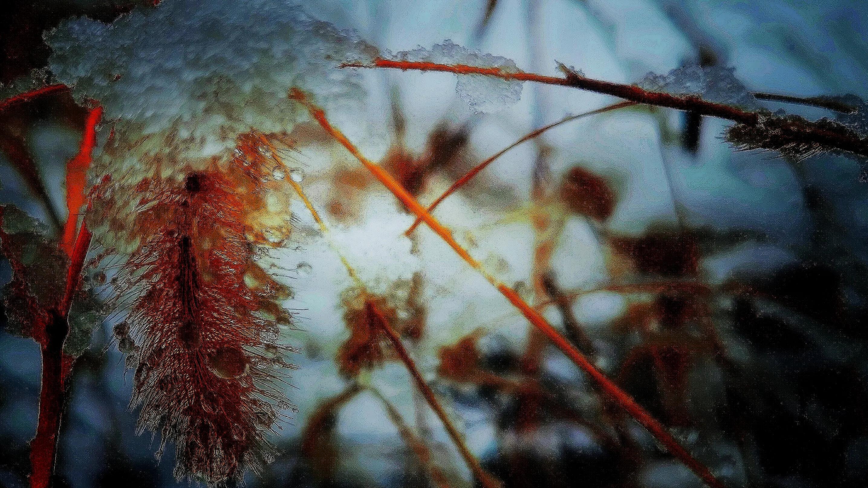 三月春雪静美，湖畔一步一深喜