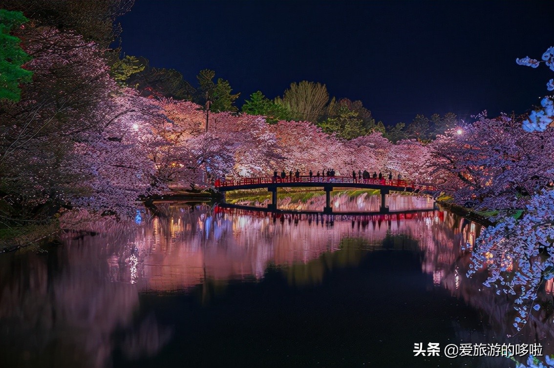 日本樱花图片（盘点大家都爱去的赏樱名地）