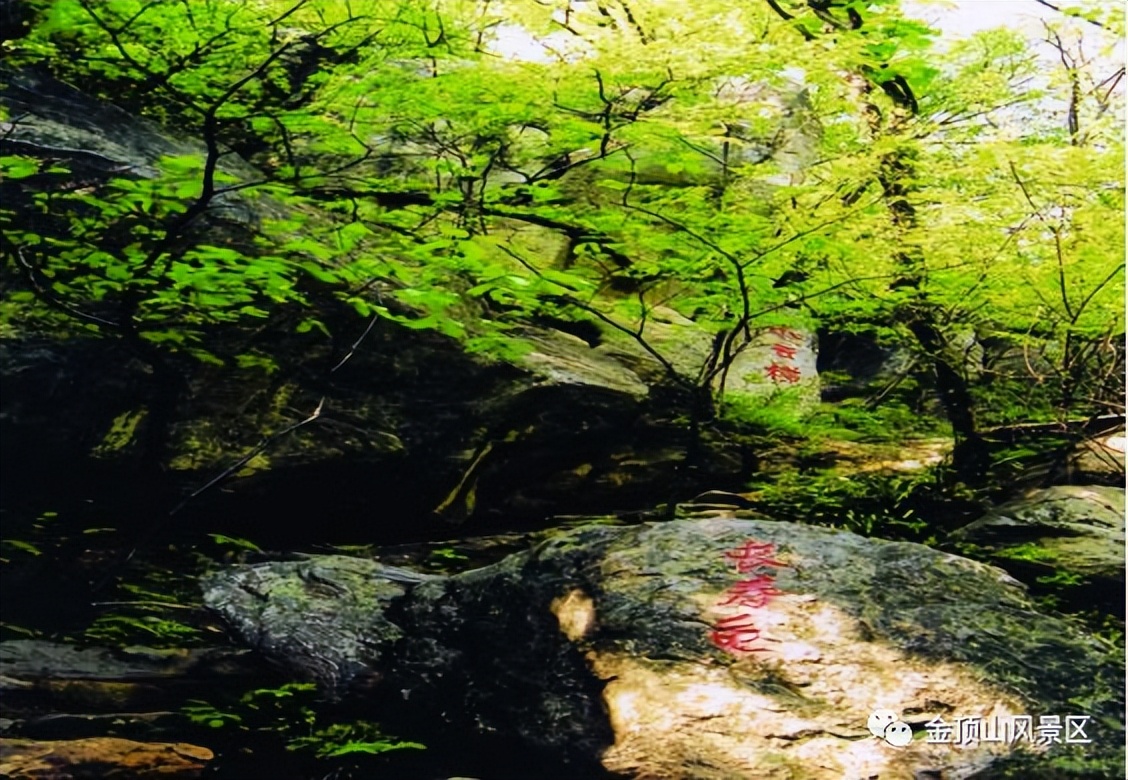 6月11日金顶山峡谷漂流激情开漂！门票+6.18元开始抢购啦