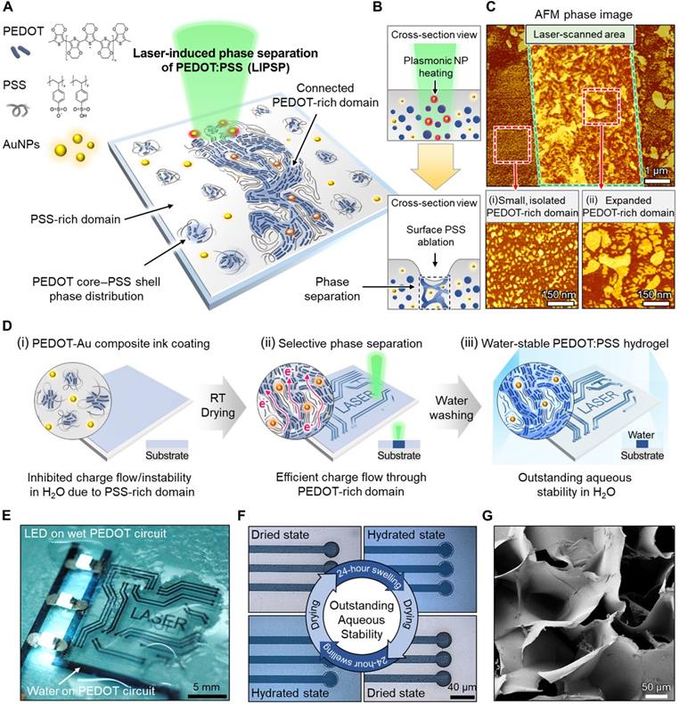 通过激光诱导相分离对高导电水凝胶进行数字选择性转换和图案化