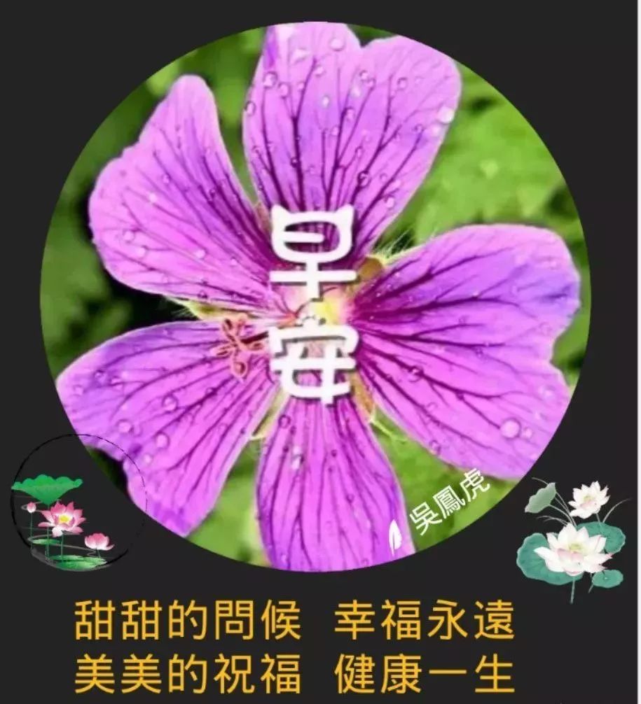 周五暖心早上好问候语简短说说 早上好，平安顺心、健康如意图片