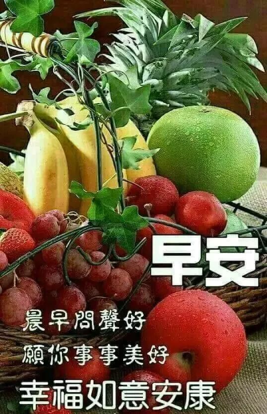 朋友圈早上好问候语鲜花图片 迎来美好的一天 永远的祝福 道一声珍重图片