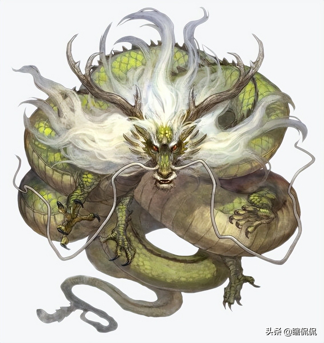 龙真实存在吗?