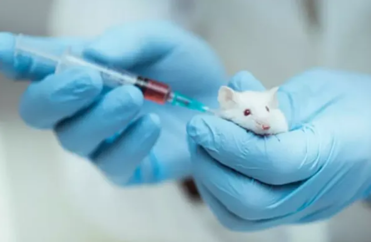 2013年，复旦“投毒案”：林森浩被判死刑，177名师生为他求情