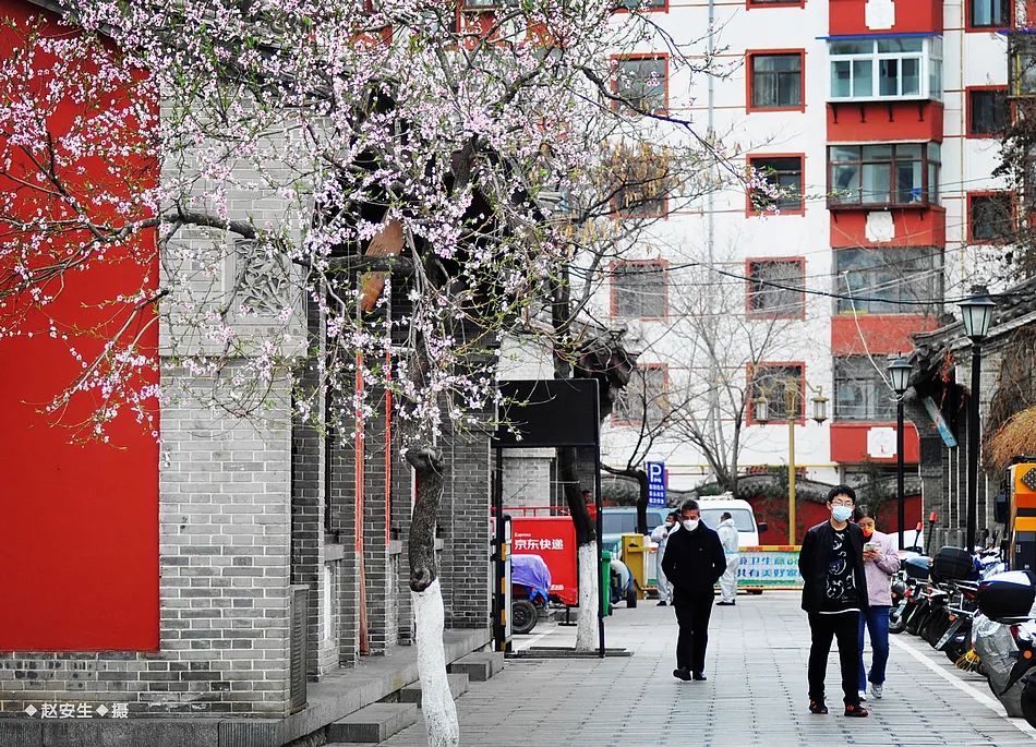 疫情笼罩下的秦州城（组图）