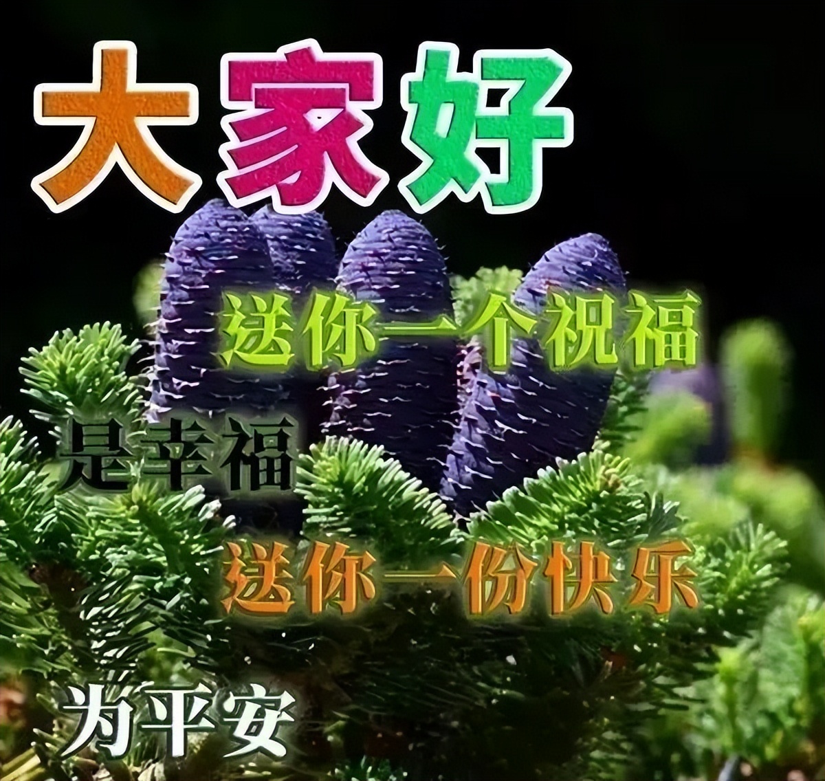 微信早上好打招呼的祝福语图片 和气能生万里财图片