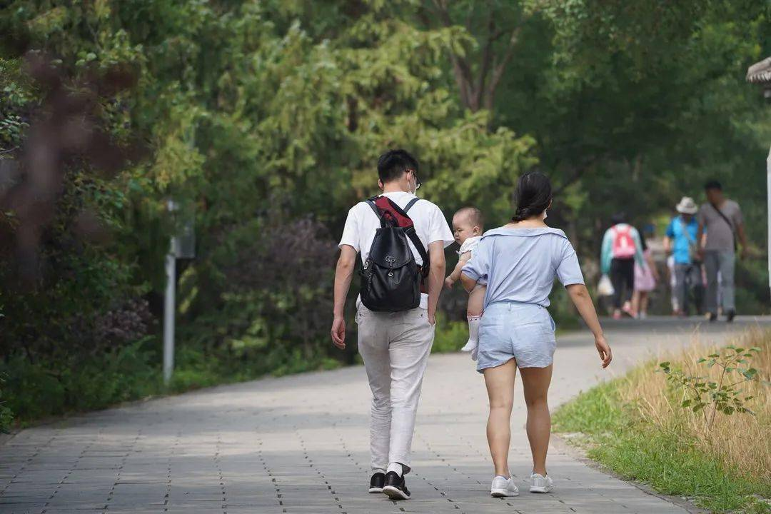 婴儿茶（婴幼儿饮食）