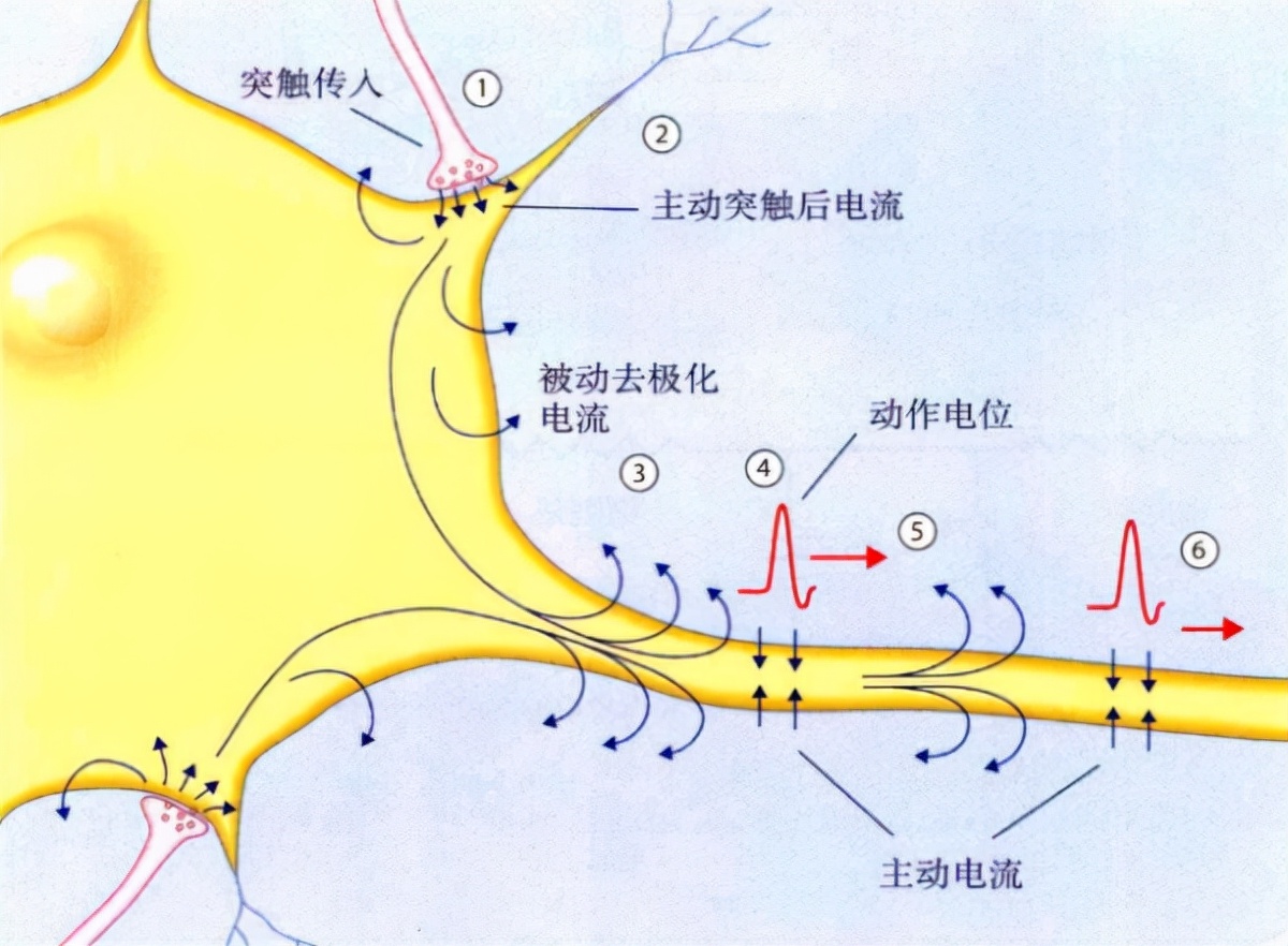 深度长文：意识的本质到底是什么？意识和自我意识是如何产生的？