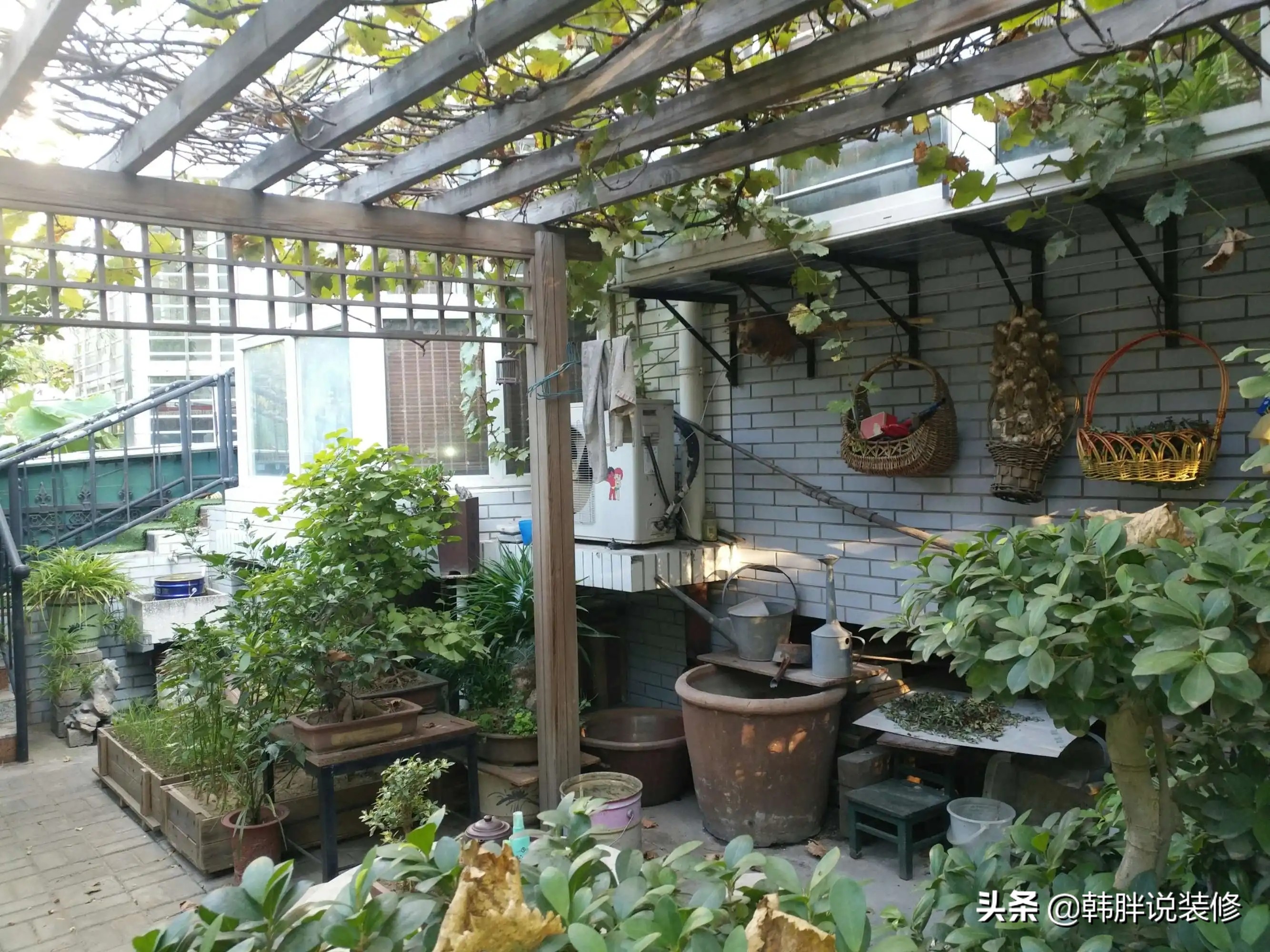 再穷再傻不买一楼，我家住了2年，简直一塌糊涂，现在是悔恨交加