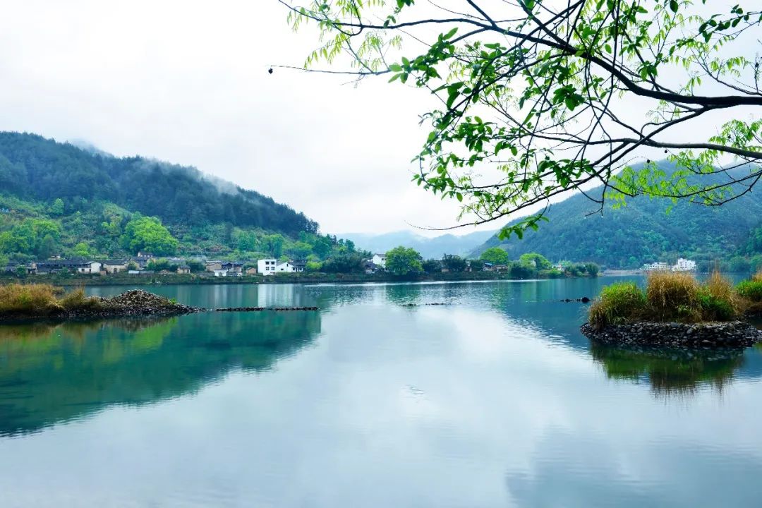 四川天府新区世界环境日寄语：童话中国 我们一同守护