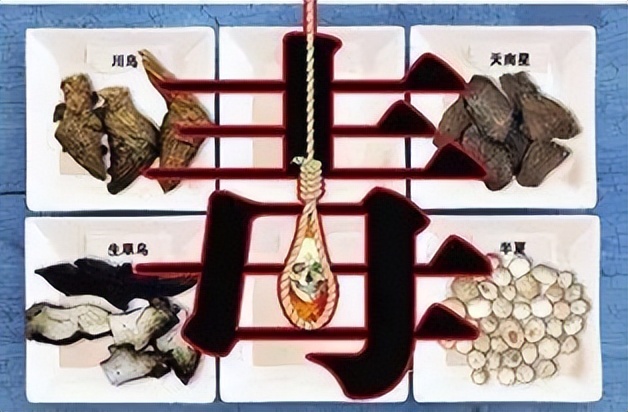 生白附子,生附子,生半夏,生南星,生巴豆,斑蝥,青娘子,红娘子,生甘遂