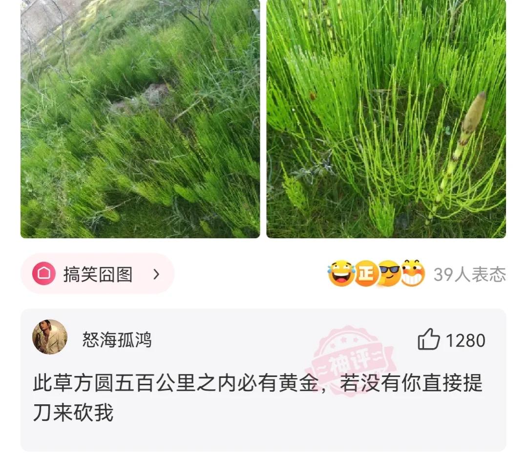 神回复，疫苗接种两个月后怀孕了，还吃了感冒药，孩子还能要吗？
