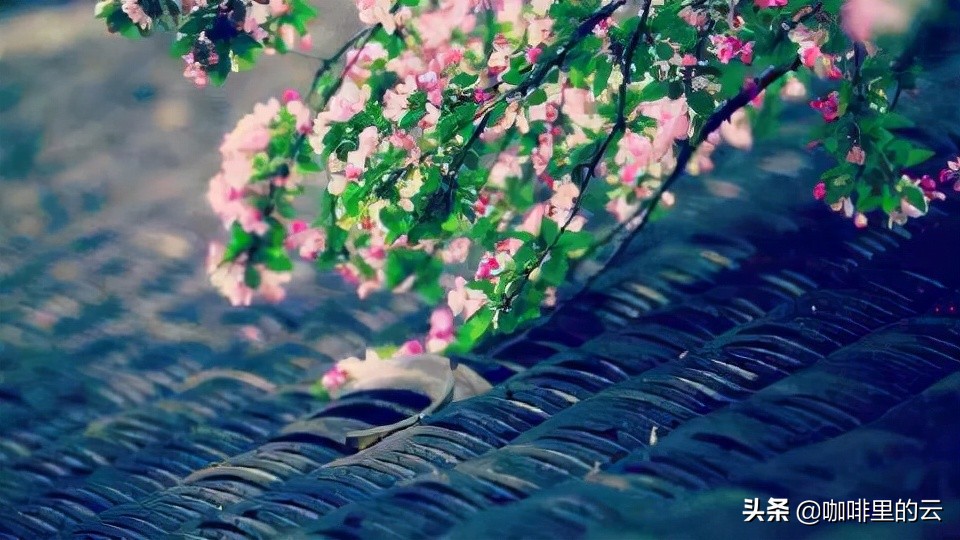 “未得到”和“已失去”皆不重要，愿所有的遗憾，让你更懂得珍惜