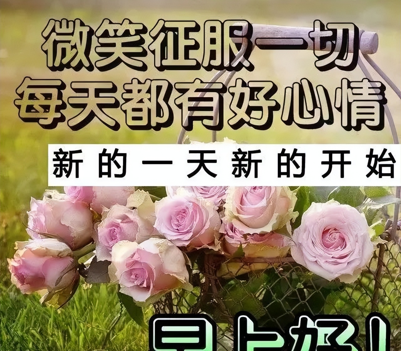周五最新早上好表情包，事事美好，平安顺心、天天快乐图片