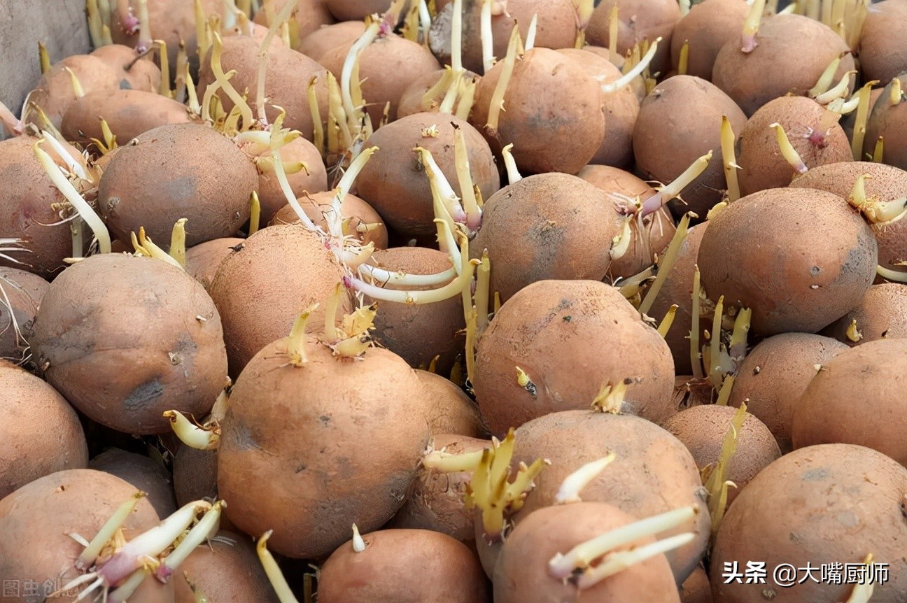 土豆長芽了還能吃嗎(土豆發芽,發青了,還可不可以吃?