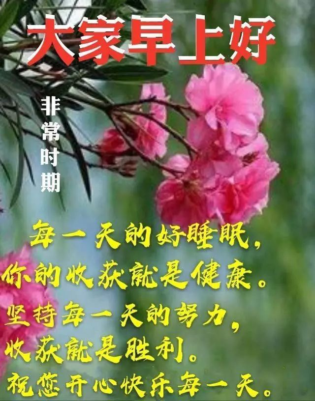 早上好问候祝福语录动画表情图片 清晨曙光初现，幸福就在你身边图片