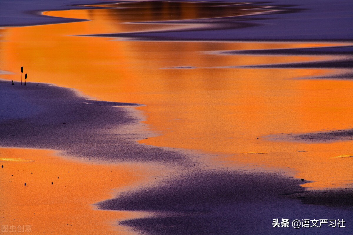 2022年高考作文备考热点素材积累：冬奥会、热爱、文化自信