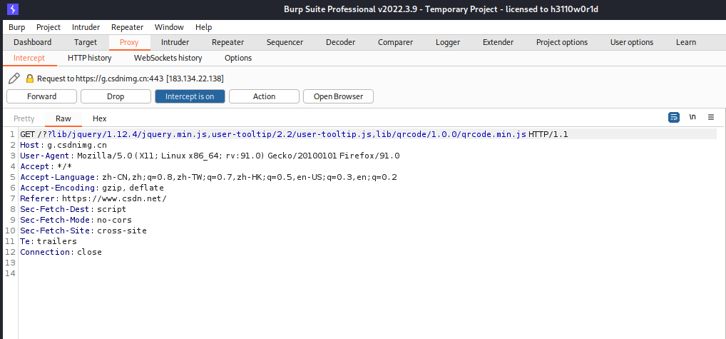 Web渗透_扫描工具Burpsuite