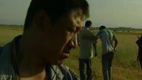 拍得太真实了！这10部“警匪剧”一部比一部好看，天花板般的存在