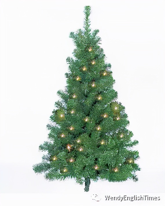 How Do You Celebrate Christmas? 你是怎样庆祝圣诞节的？