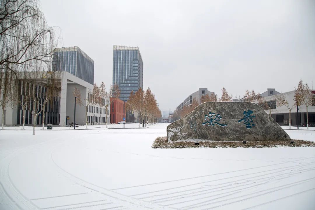 开年瑞雪，师大校园寂静如诗