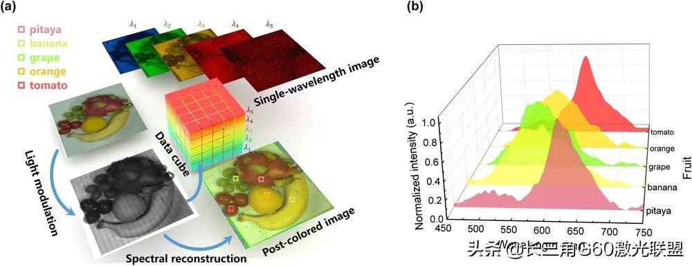 基于自由形状超原子超表面的超声光谱成像