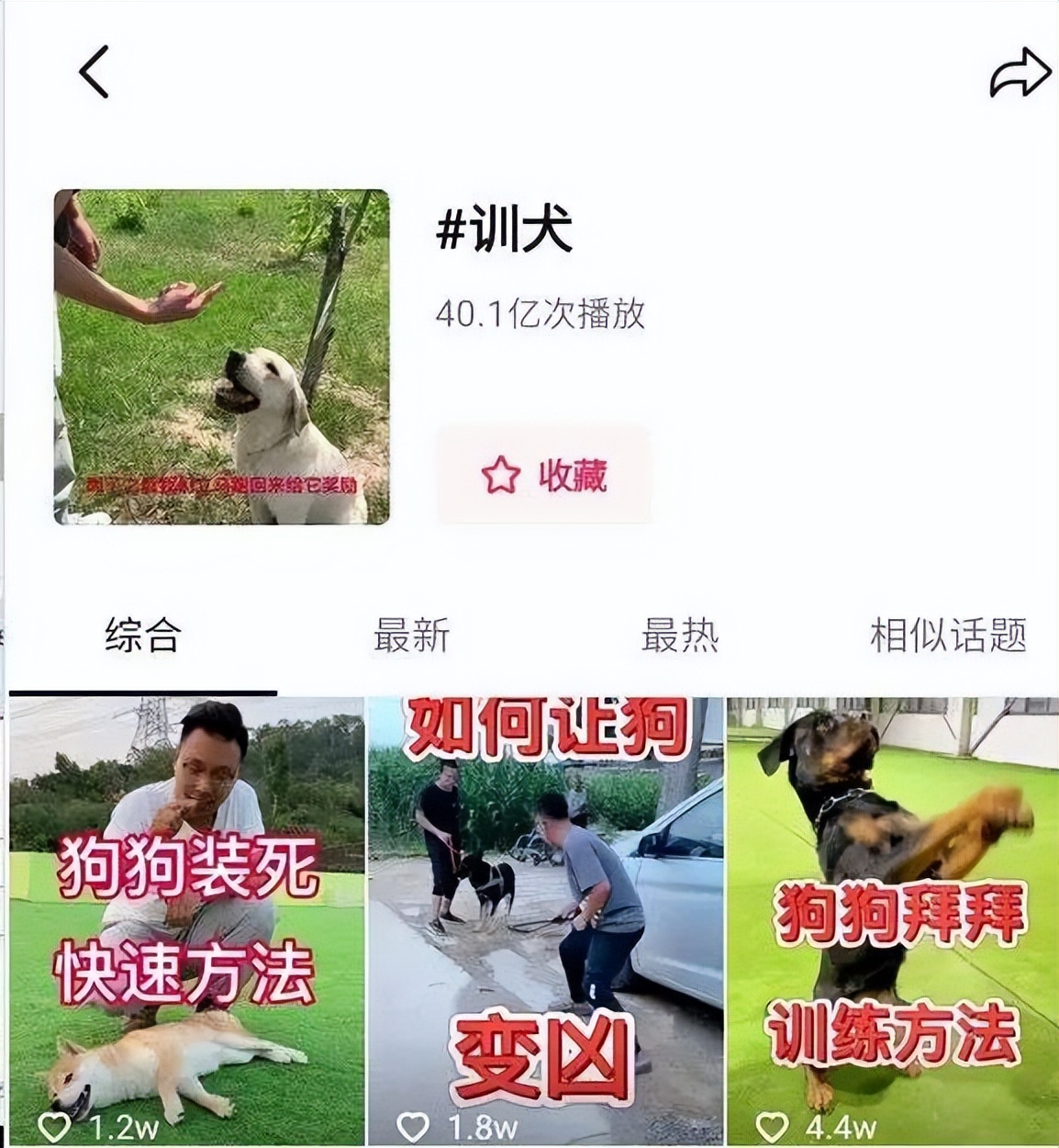 “狗德”培训班的AB面