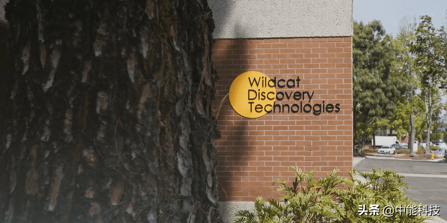 Wildcat Discovery筹集9000万美元研发高能量密度电池