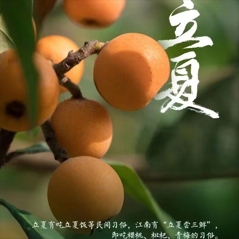 文案丨关于立夏的优美句子摘抄丨优质文案